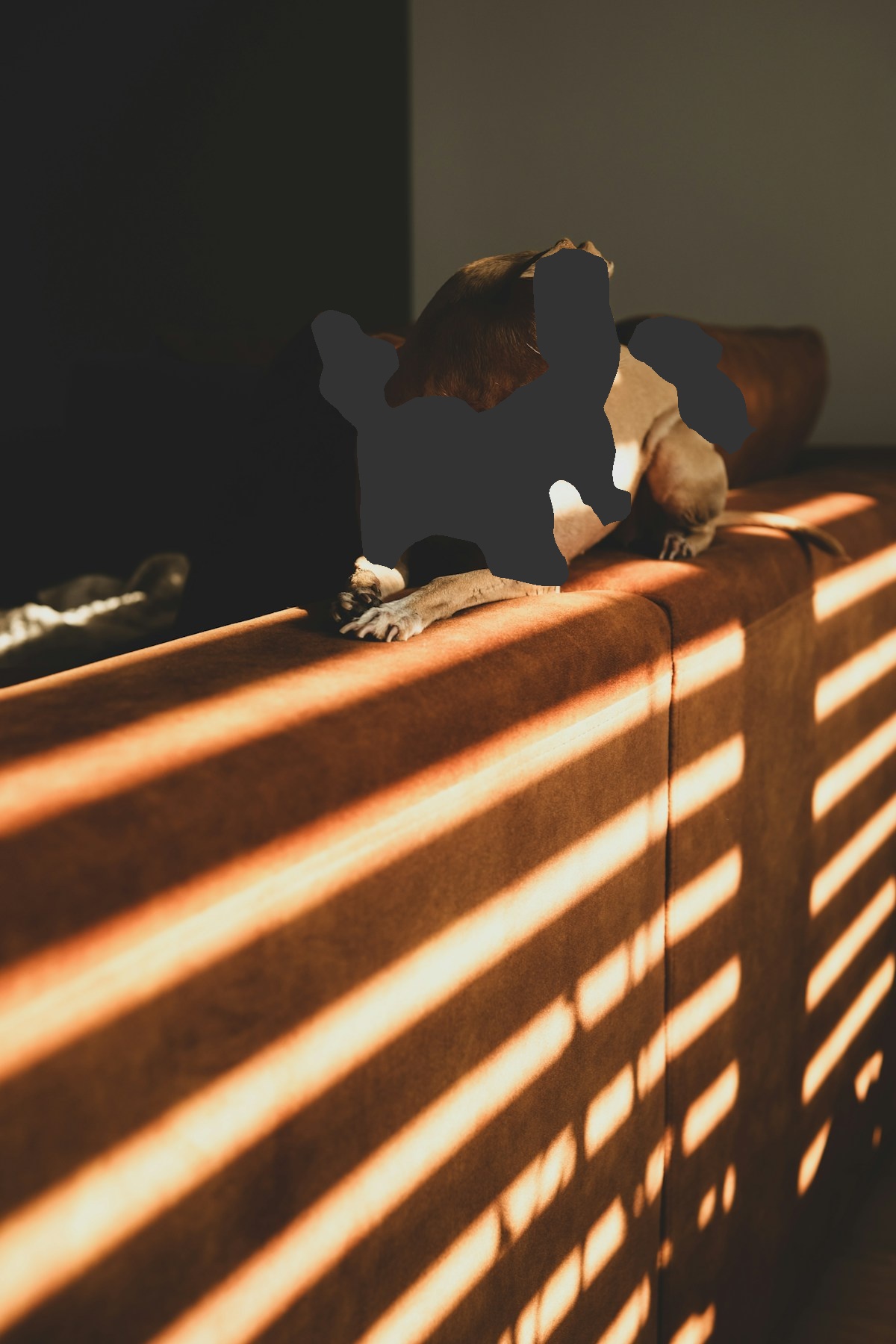 Late afternoon sun falling in stripes across a rust sofa